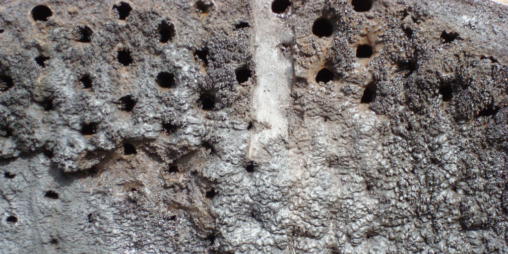 Polymer Fouling